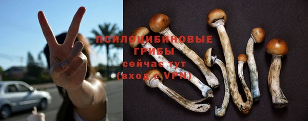мескалин Гусиноозёрск