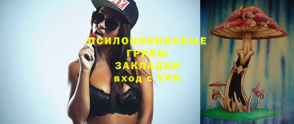 мескалин Гусиноозёрск