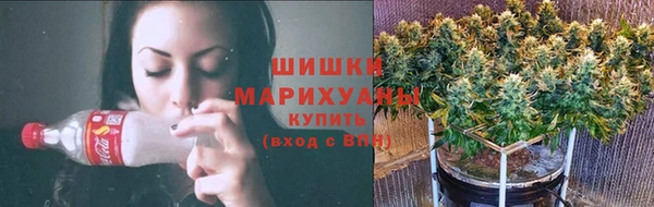 СК Гусев