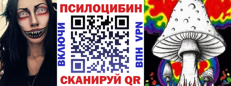 Галлюциногенные грибы Psilocybe  Краснозаводск 